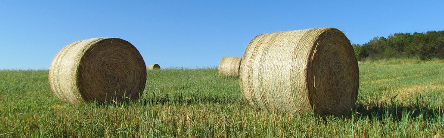 The Essential Guide to Hay Wraps